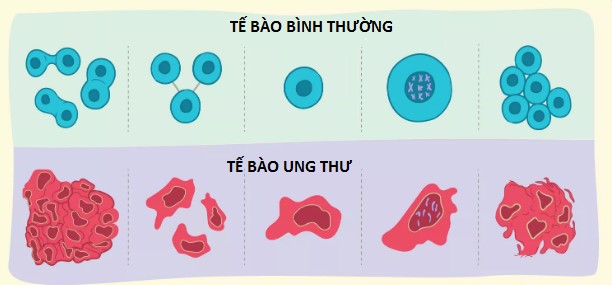 Tế bào ung thư